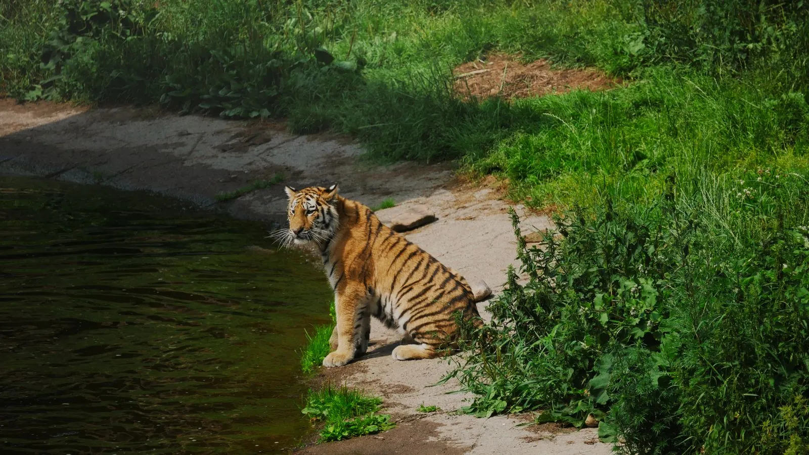 Bezoek aan safaripark Skånes Djurpark