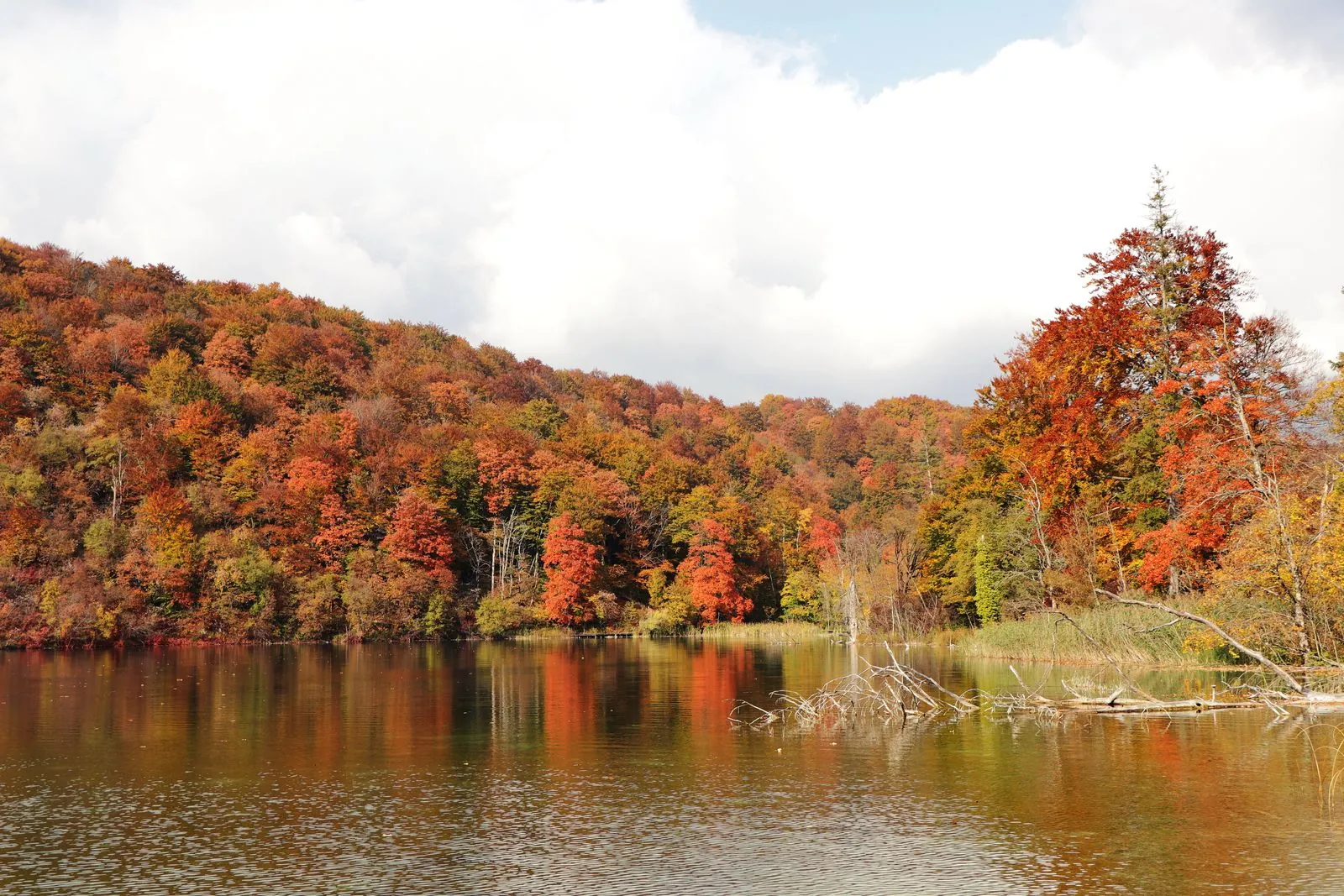 De wilde natuur van het Plitvice Meren Nationaal Park