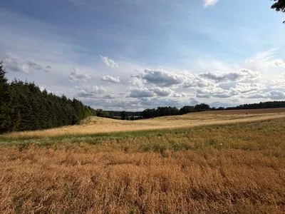 Lychen