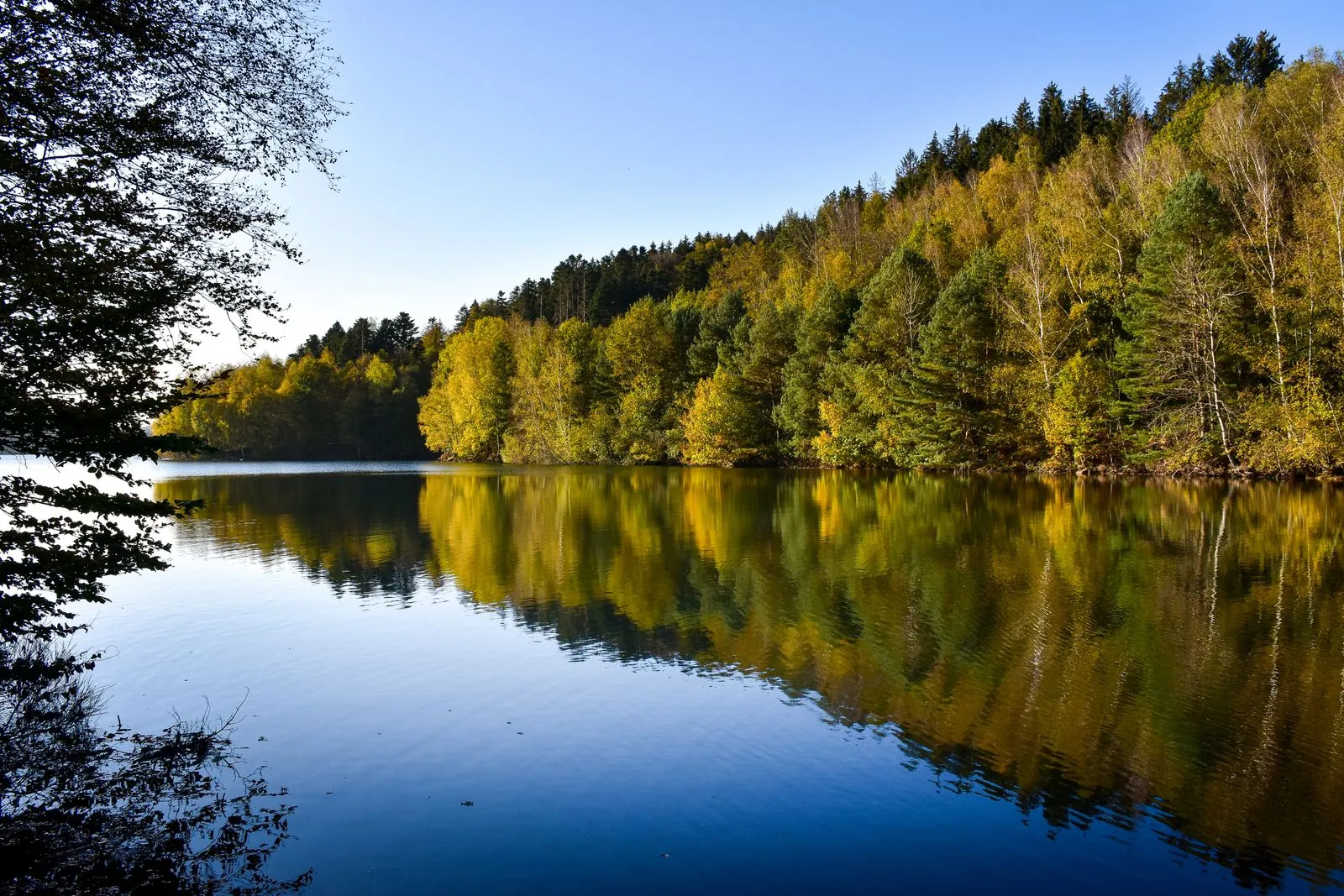 Ballons des Vosges: natuur en wandelroutes