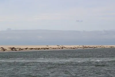 Midsland