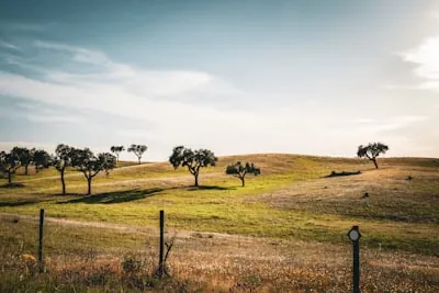 Alentejo