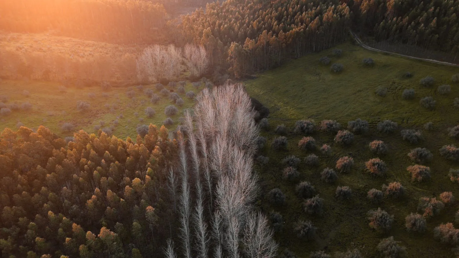 De ongerepte natuur van Santarém verkennen