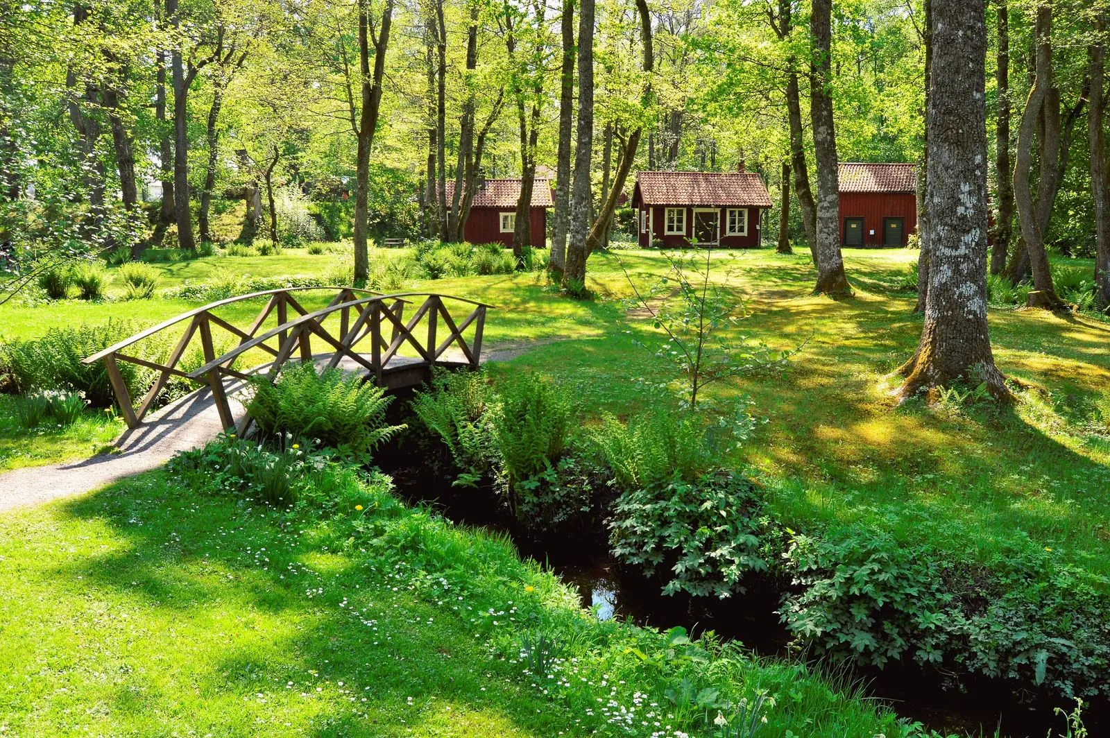 Picknicken in Söderåsen Nationaal Park