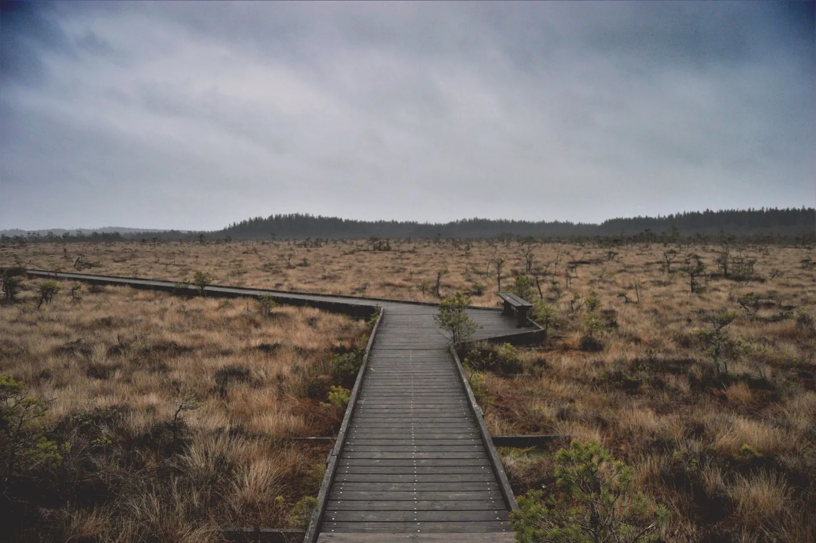 De natuur in bij nationaal park Tiveden