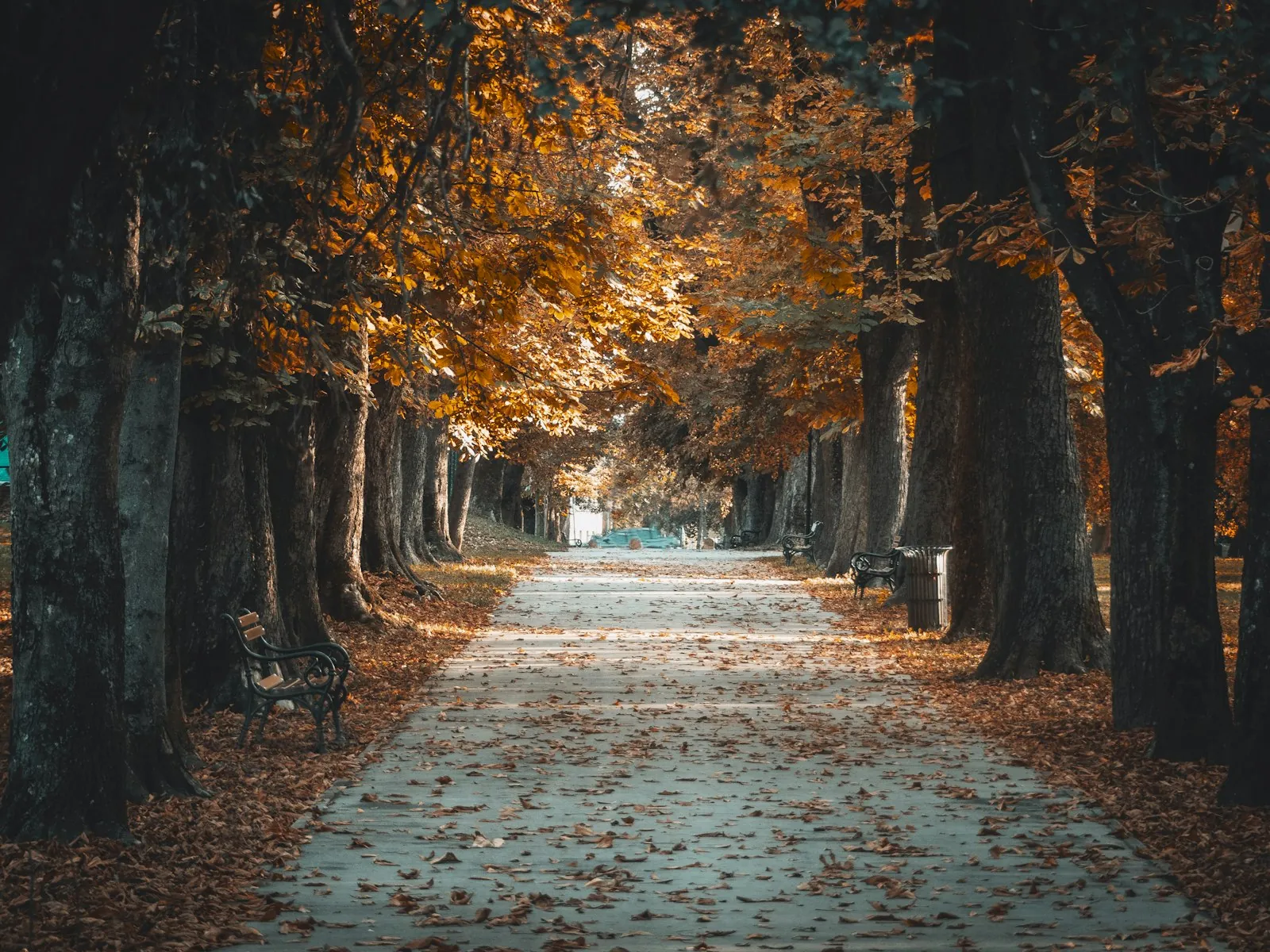 Vakantiehuis in Osijek Baranja