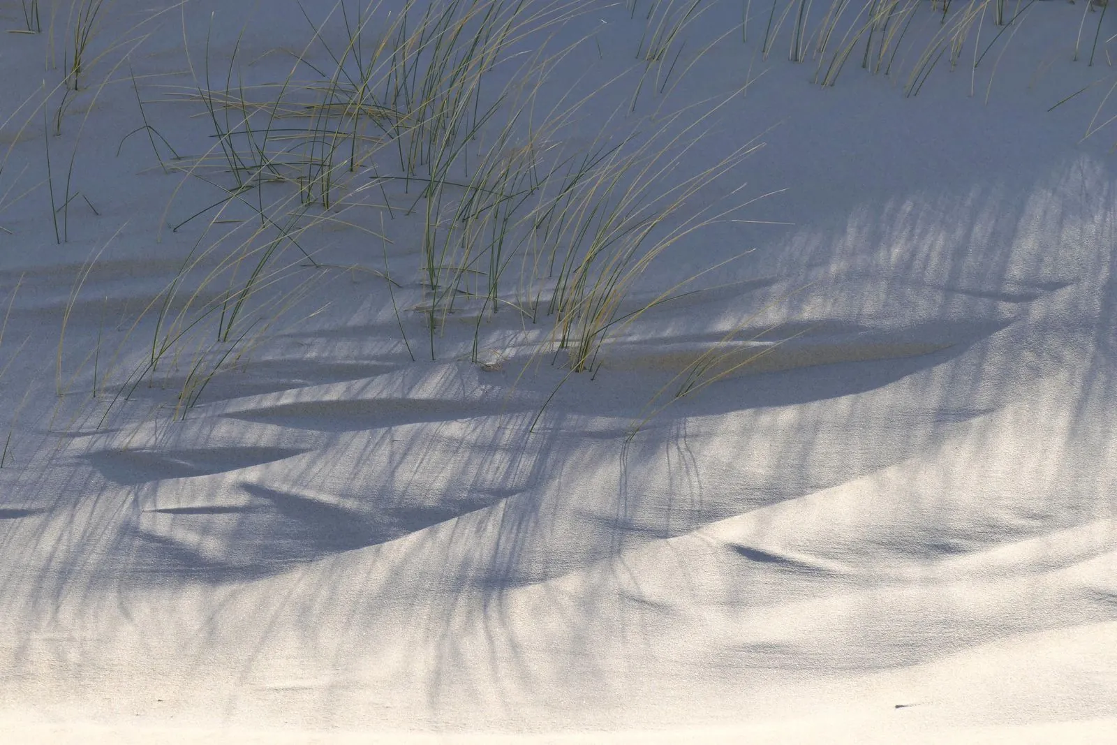 Fietsen door de duinen in Domburg