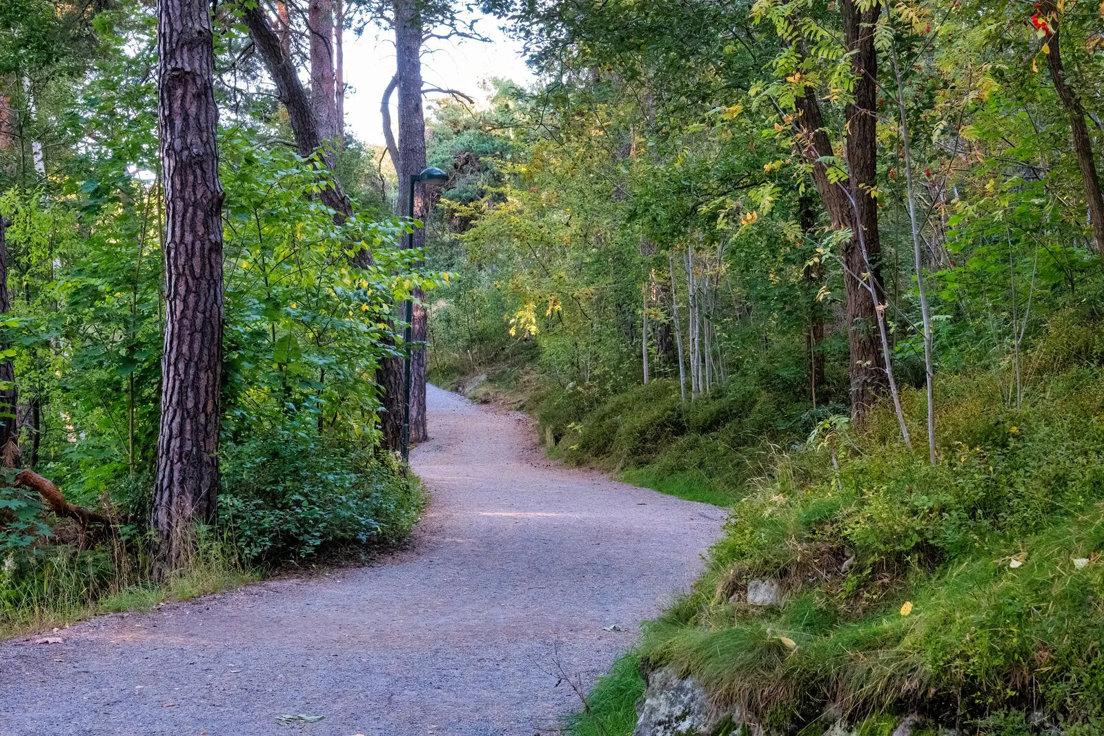 Een wandeling door de botanische tuin van Uppsala