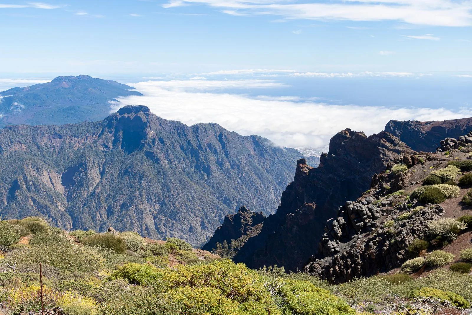Wat te zien in Caldera de Taburiente Nationaal Park