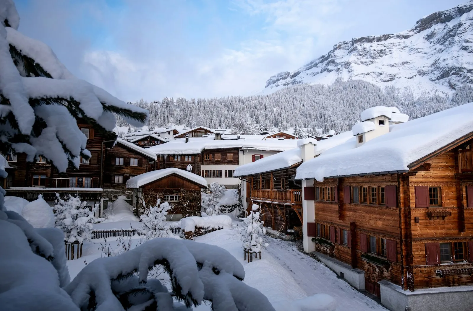 Vakantiewoning skigebied