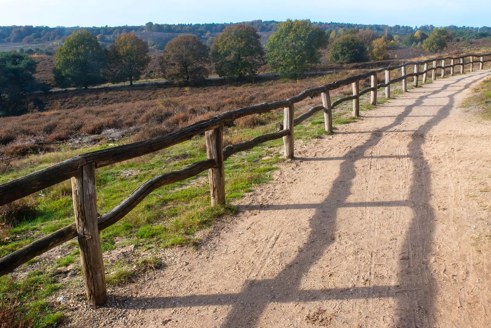 Uitzicht over de Holterberg tijdens je wandeling