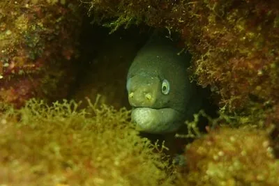 Anguillara Sabazia
