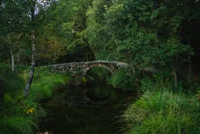 Viana Do Castelo