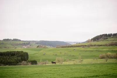 Langscheid
