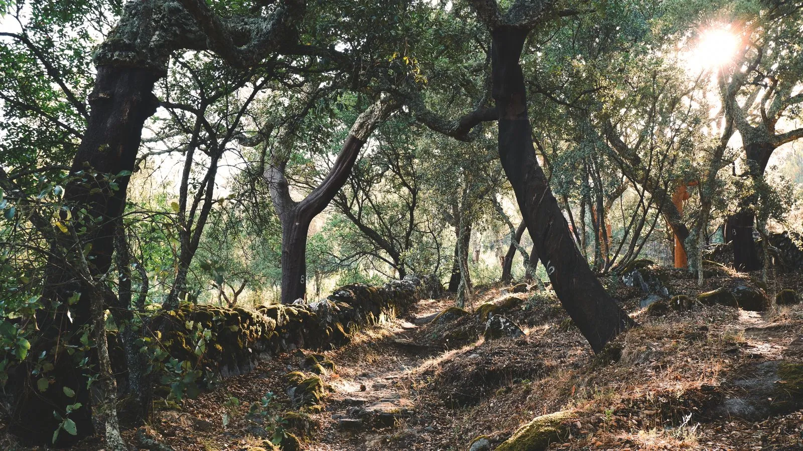 Wandelen in het natuurpark van Montesinho