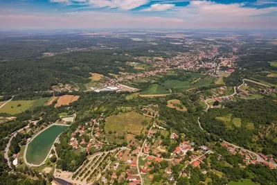 Ferdinandovac