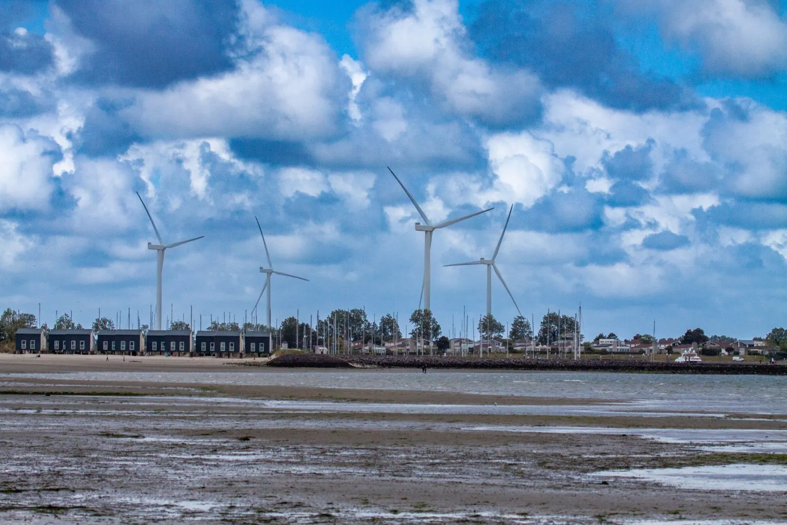 Wat maakt de haven van Kamperland bijzonder?