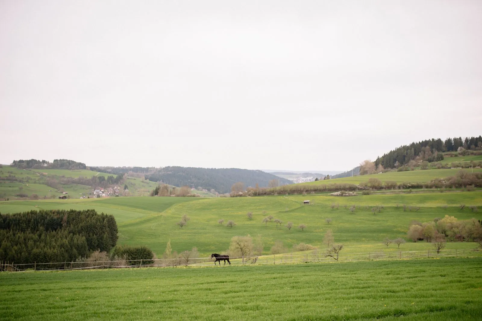 Vakantiehuis in Langscheid