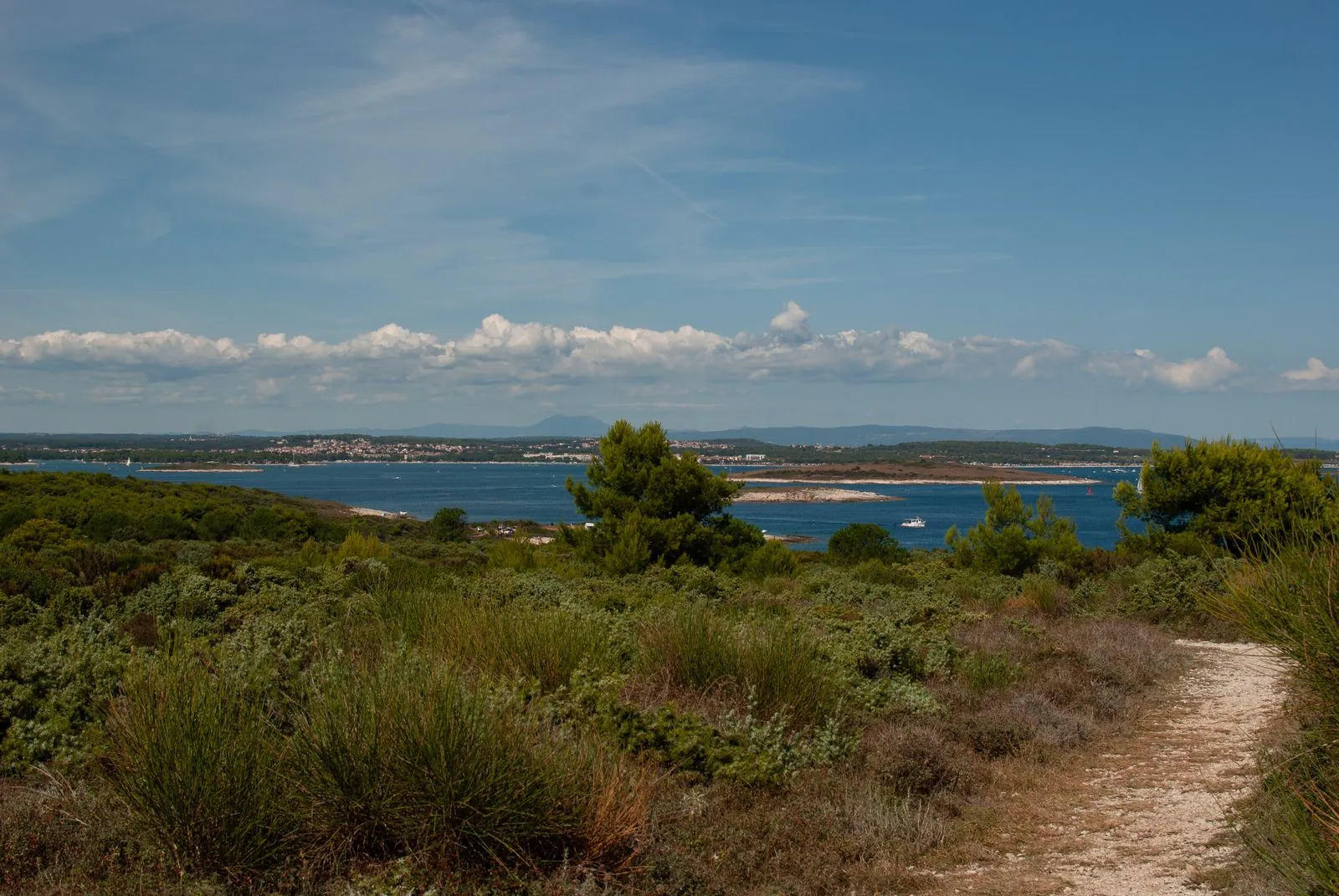 Wandelen door Lošinj's pijnboombossen