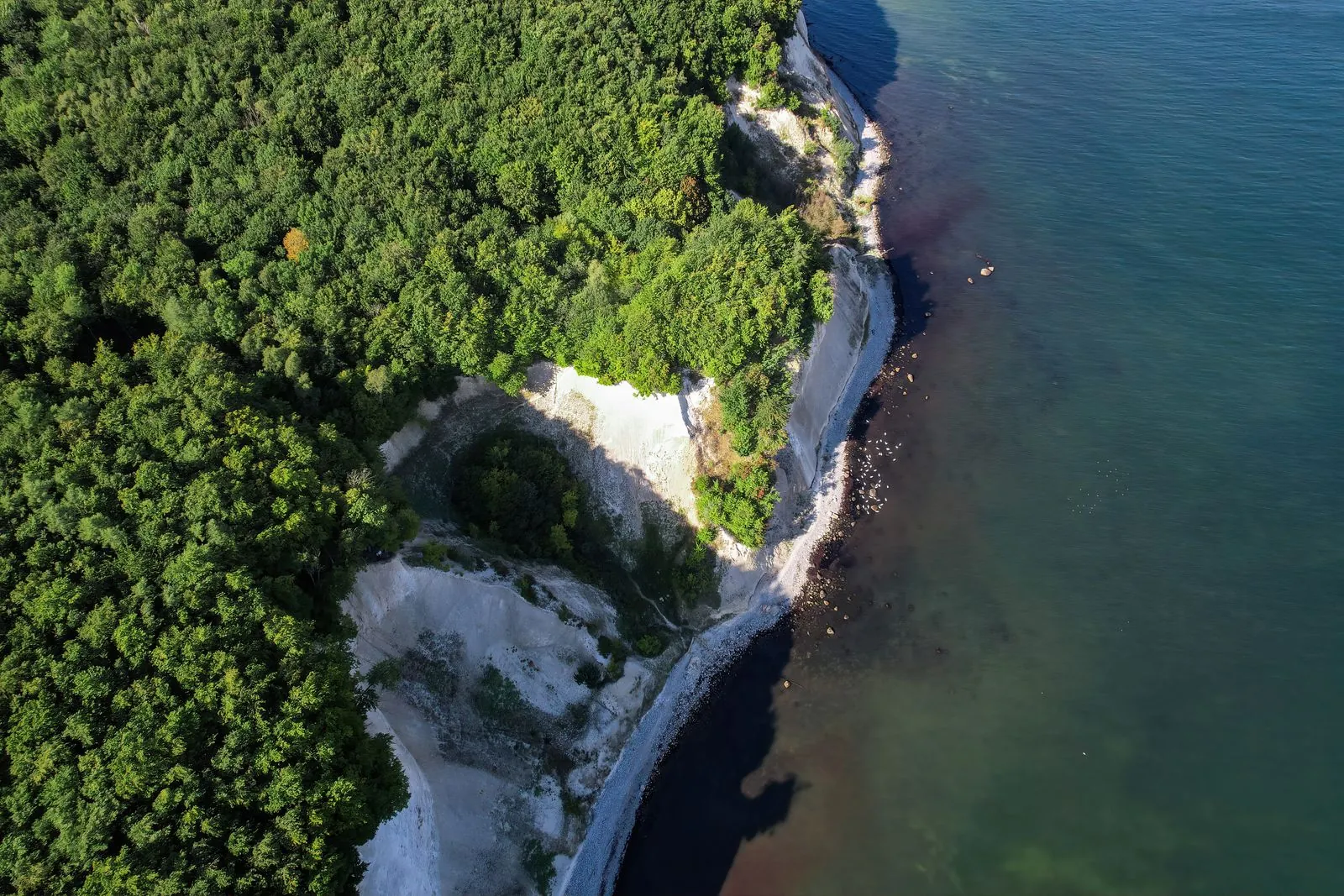 Natuur verkennen in het Müritz Nationaal Park