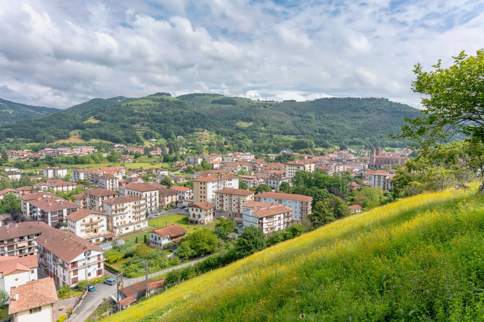 Het majestueuze uitzicht van de Pyreneeën in Navarra