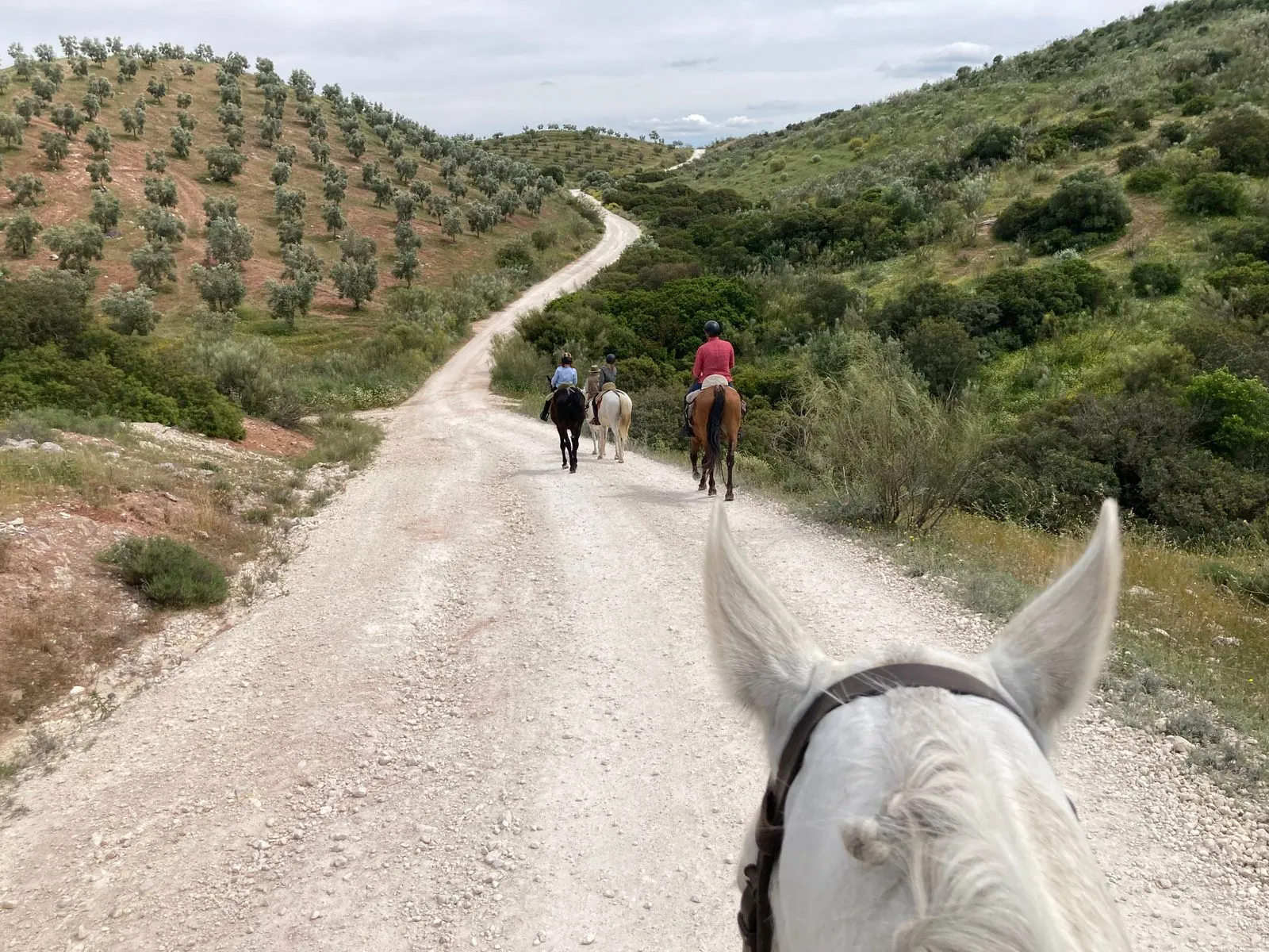 Paardrijden in de heuvels van Andalusië
