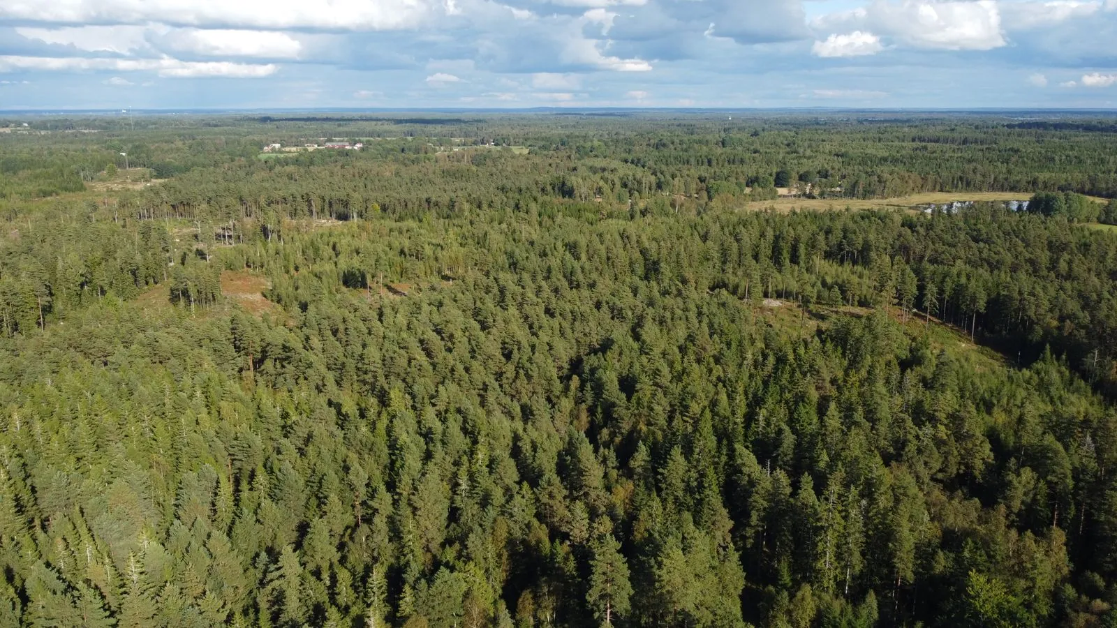 Wandelpaden in de diepe bossen van Kronoberg
