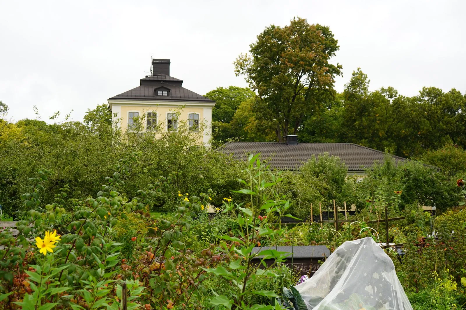 De botanische tuin van Visby, een groene oase