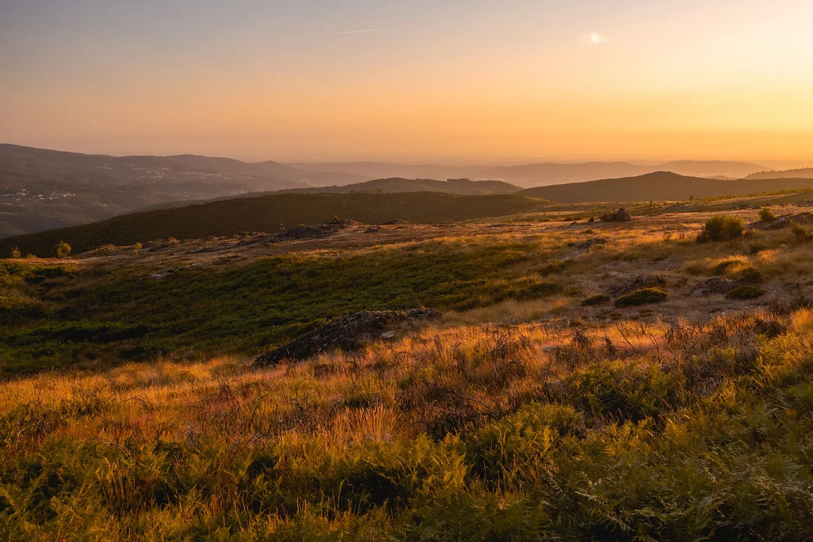 Natuurpark Serra de São Mamede: ongerepte natuur in Portugal