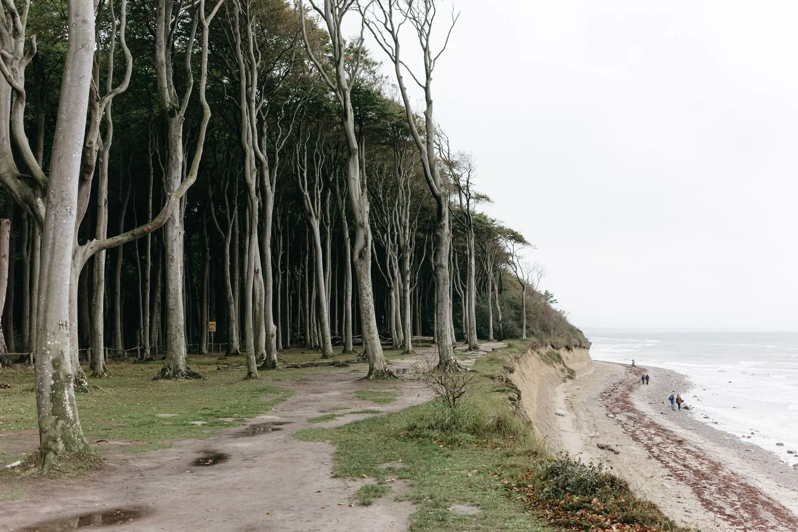 Fietsen tussen de velden en bossen van Usedom