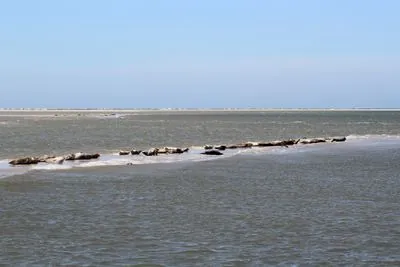 Wangerooge