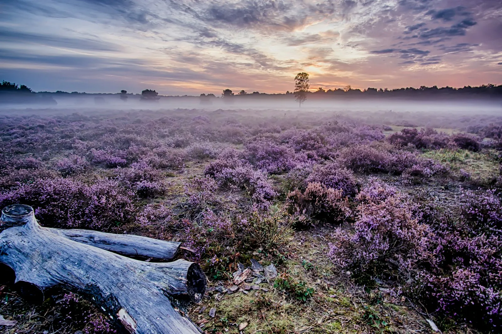 Luxe wellness bungalows op de Veluwe