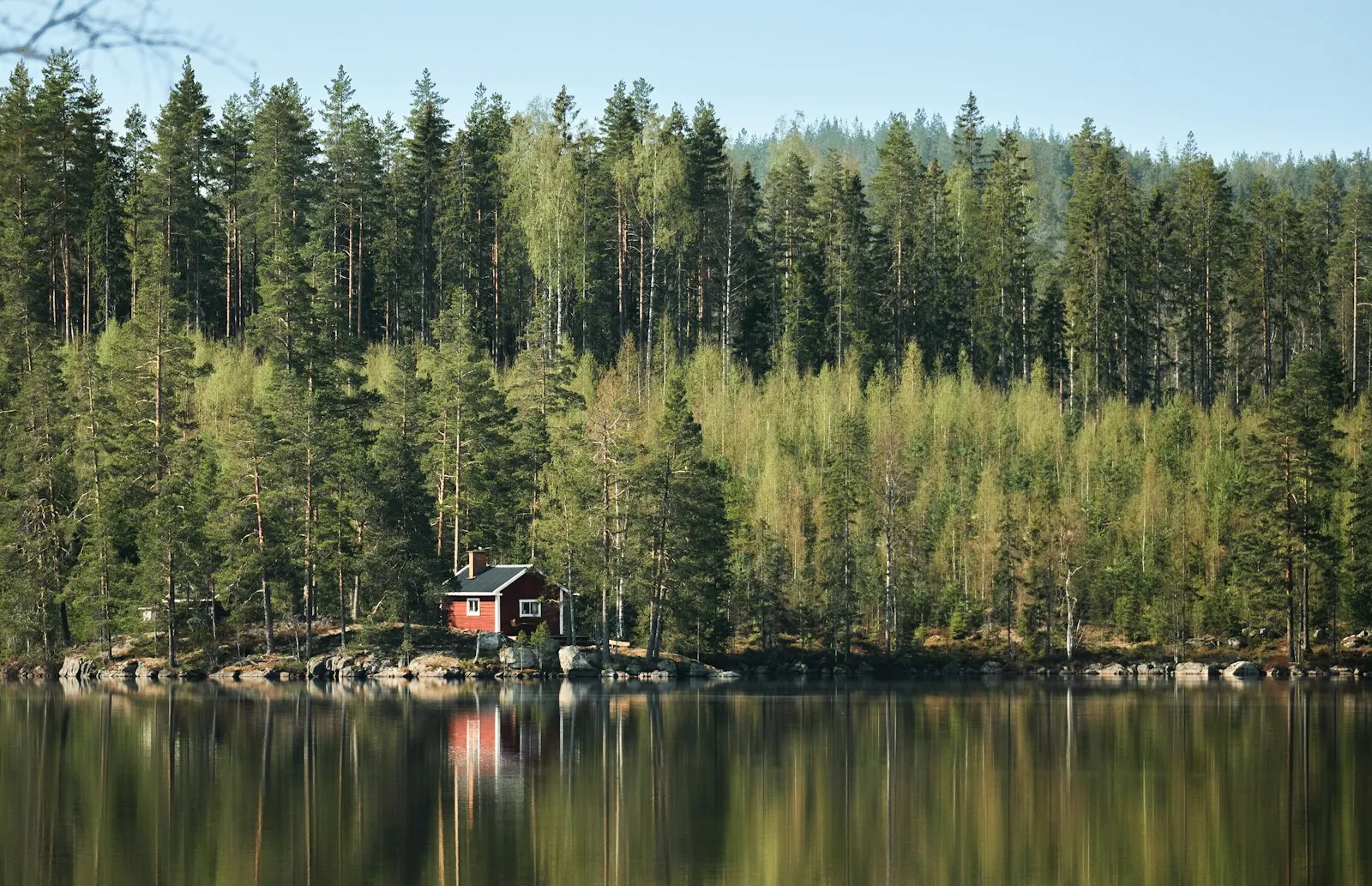 Paardrijden in de groene bossen van Dalarna