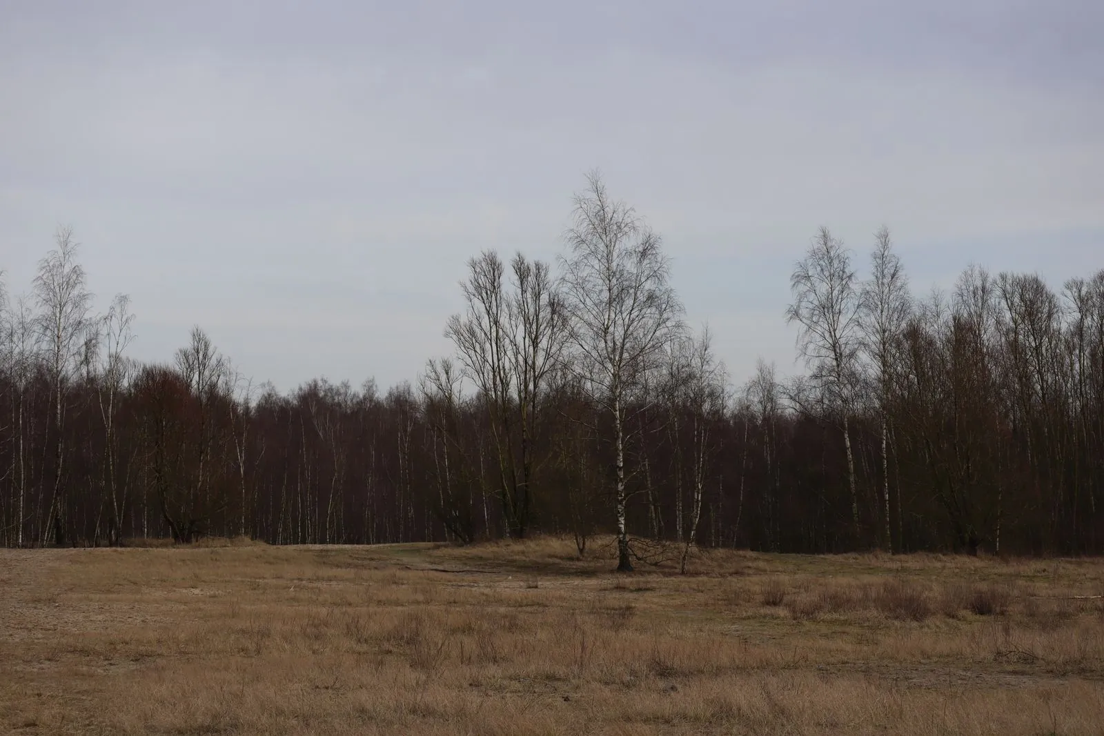 De Groene Gordel rond Brussel, natuur en cultuur ontdekken