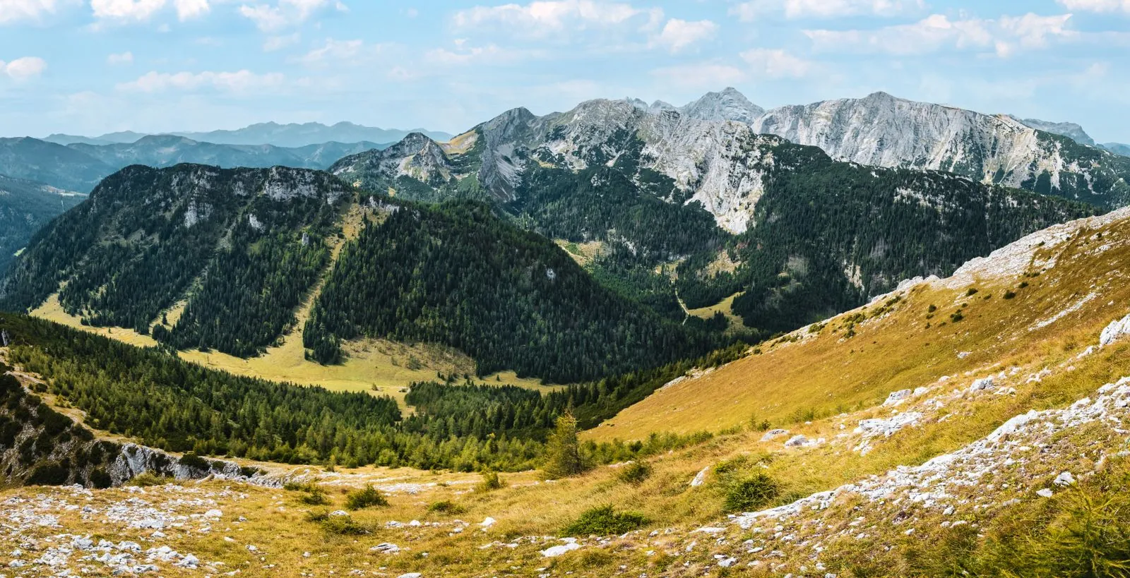 Wandelen in de bossen van Nationaal park Őrség