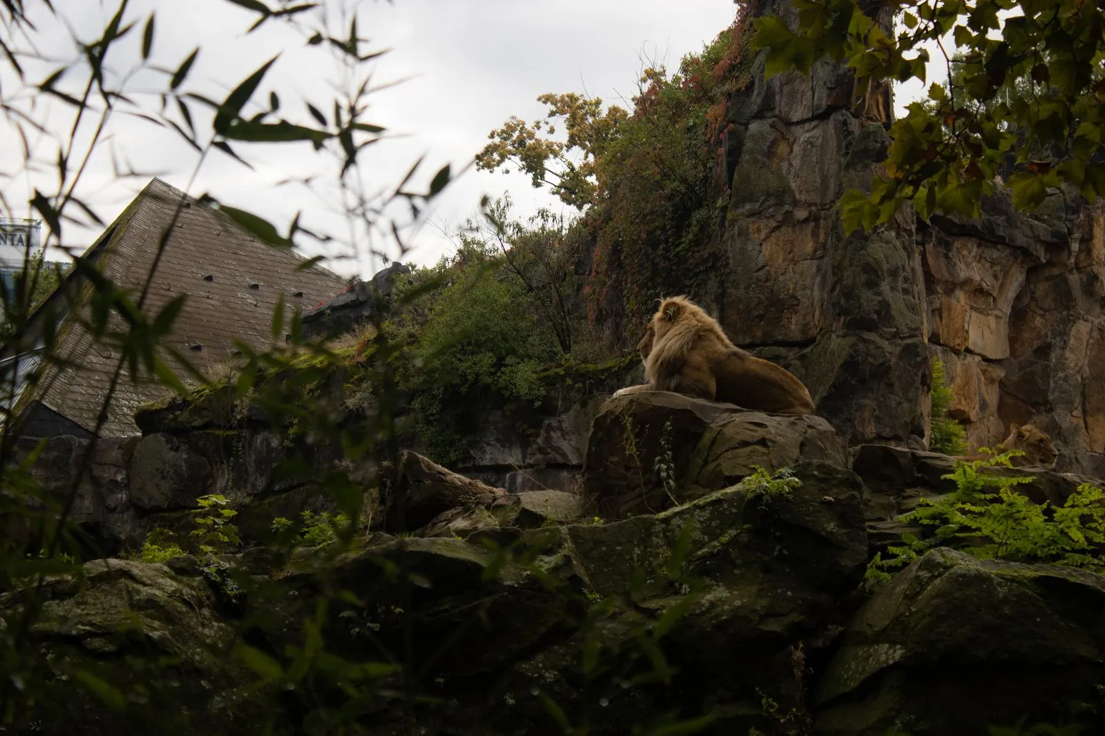 Bezoek aan de dierentuin van Keulen met het gezin