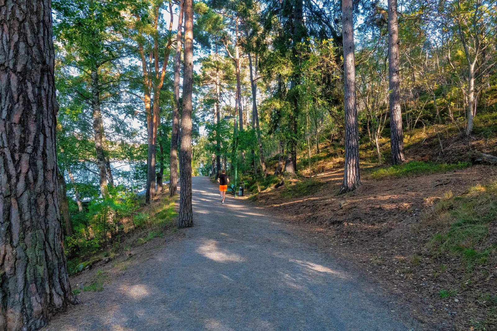 Wandelen door het natuurreservaat van Tjurpannan