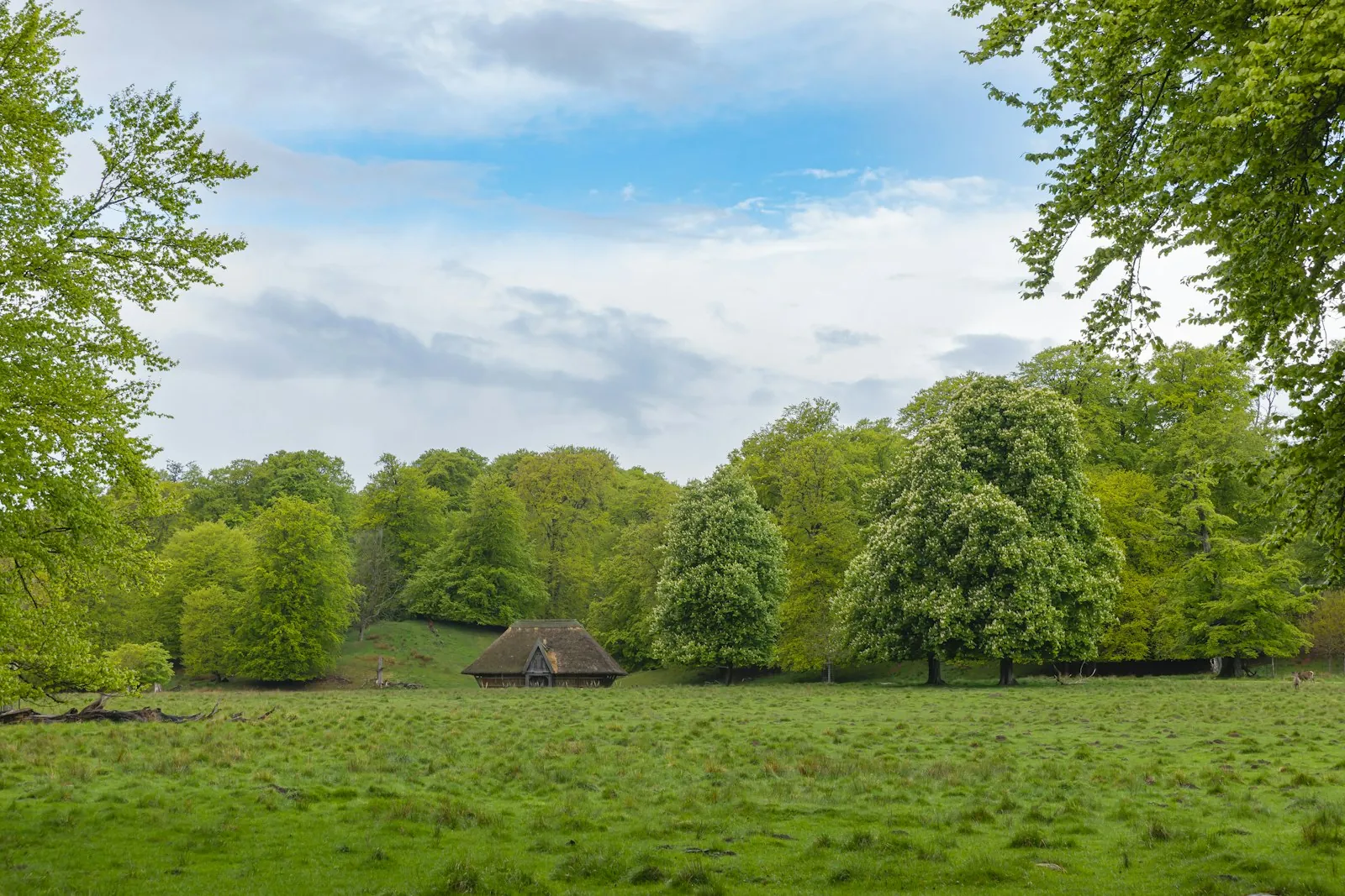 Vakantiehuis in de natuur in Denemarken