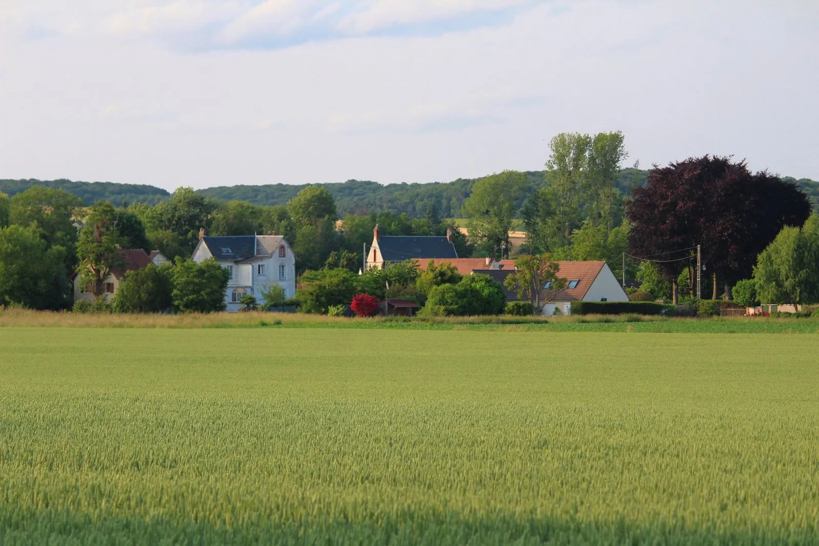 Fietsen door de natuur van de Sommevallei