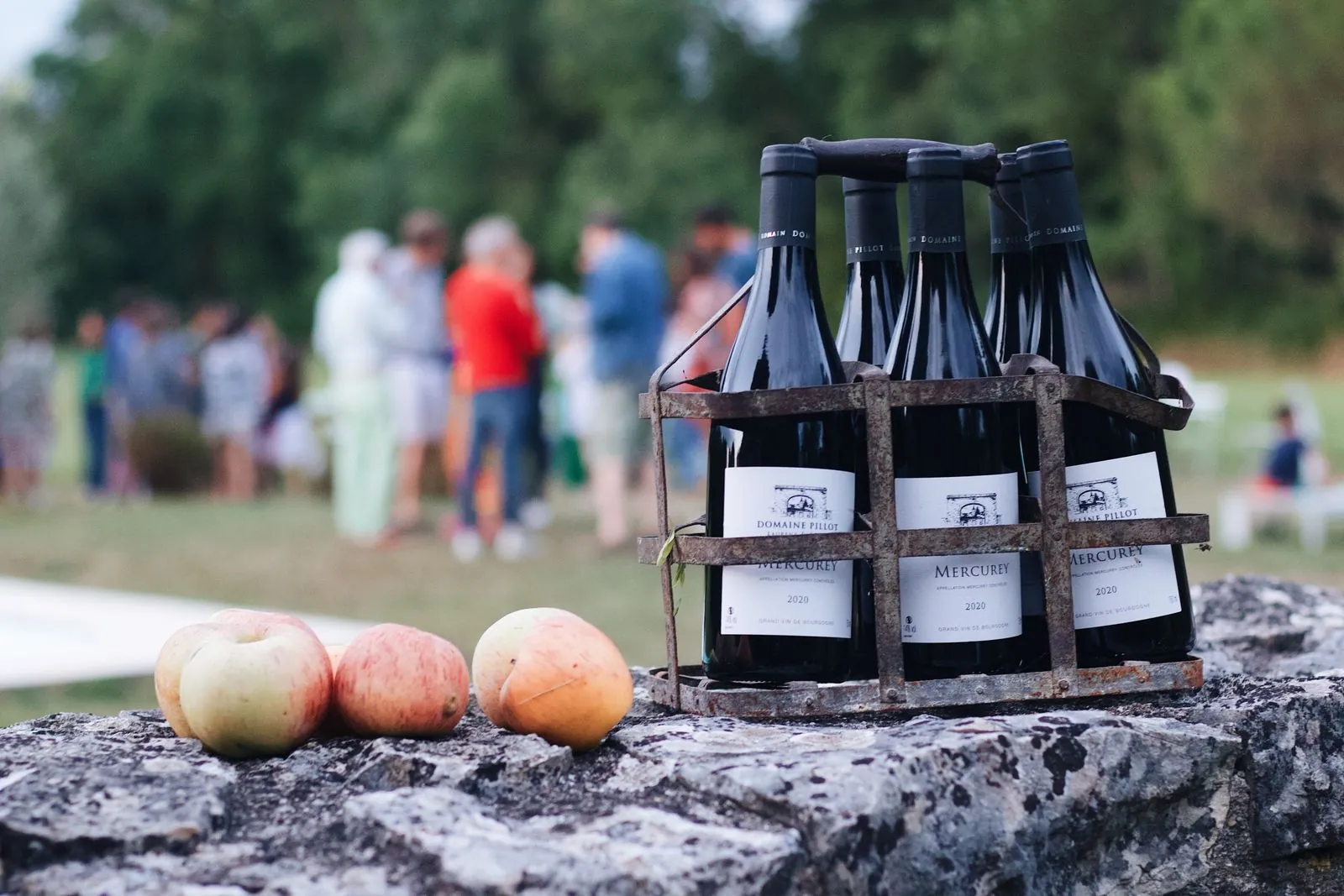 Wijnproeverij bij Domaine Marcel Deiss in Bergheim