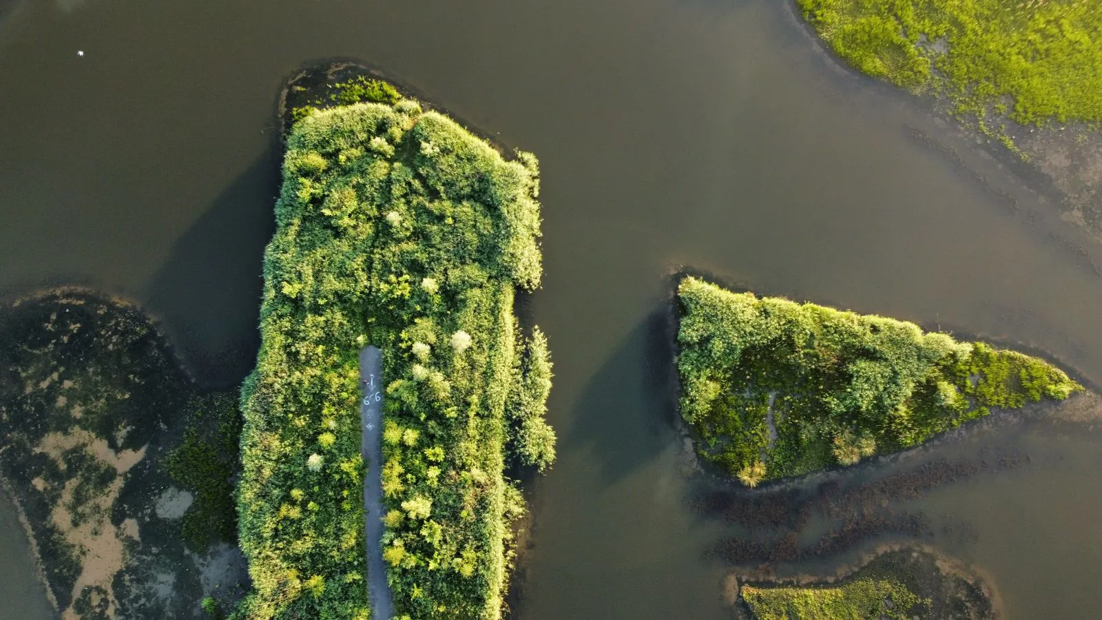Wat maakt Rottumeroog uniek als onbewoond eiland?