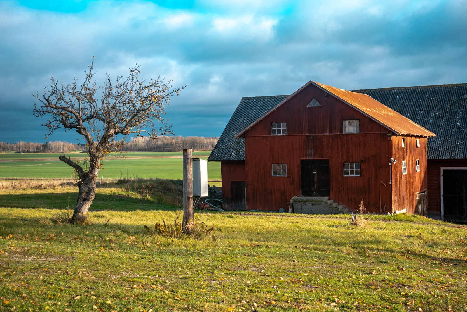 Ontdek het kindvriendelijke Wadköping openluchtmuseum