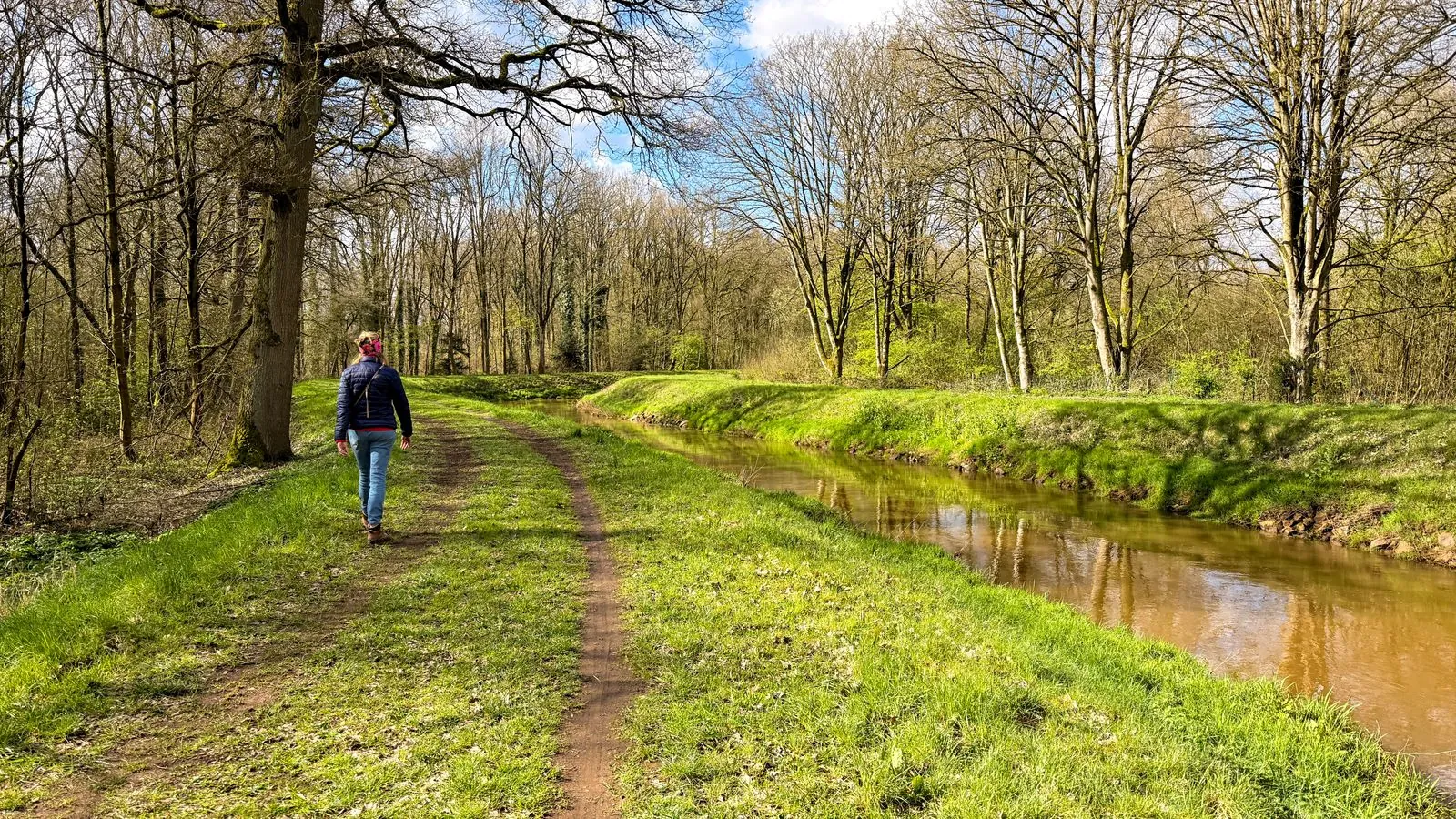 Middelheimmuseum bezoeken en wandelen in Middelheimpark