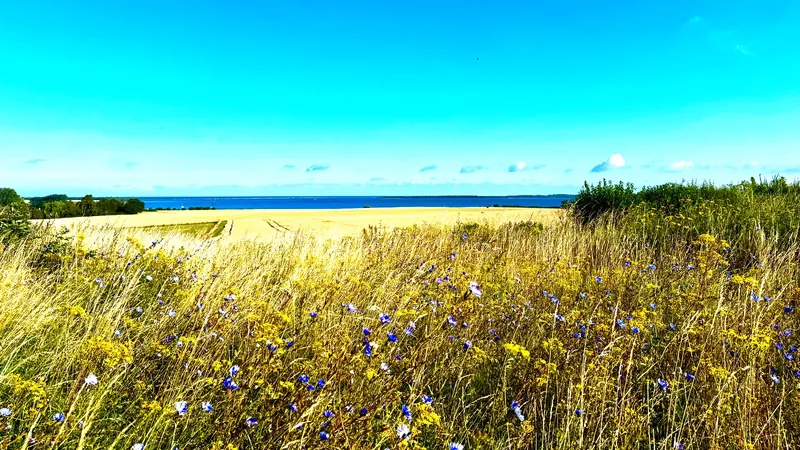 Nationalpark Vorpommersche Boddenlandschaft
