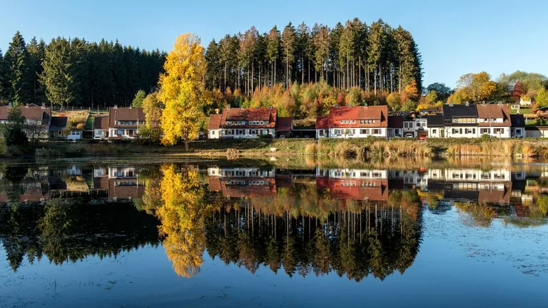Harzfalkenhof