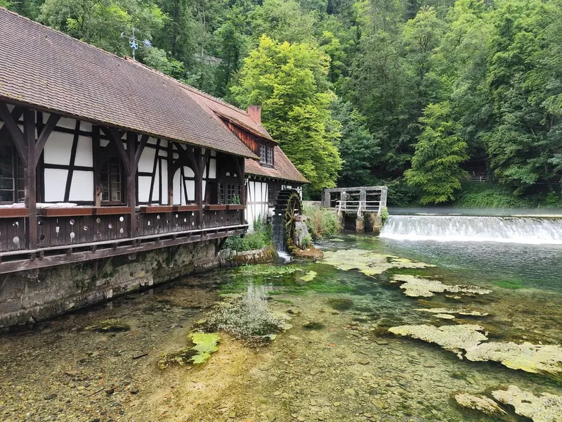 Mühlenbach (Schwarzwald)