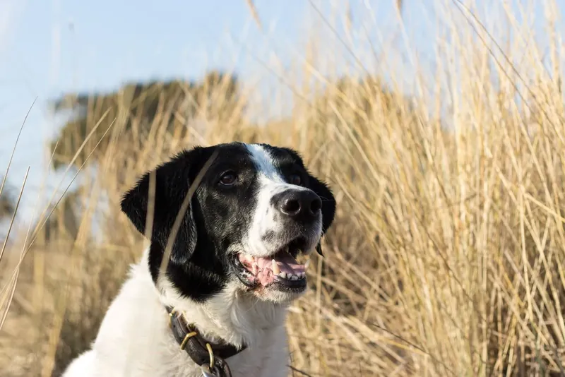 Golf & Fun Park