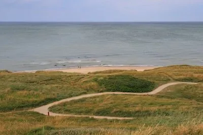 Bjert