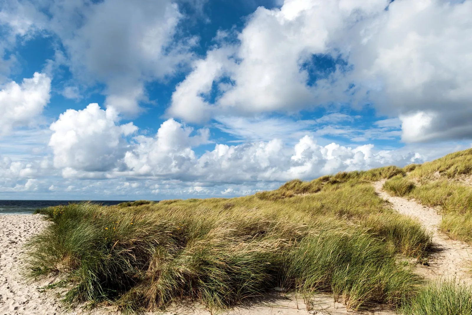 Vakantiehuis in Henne Strand
