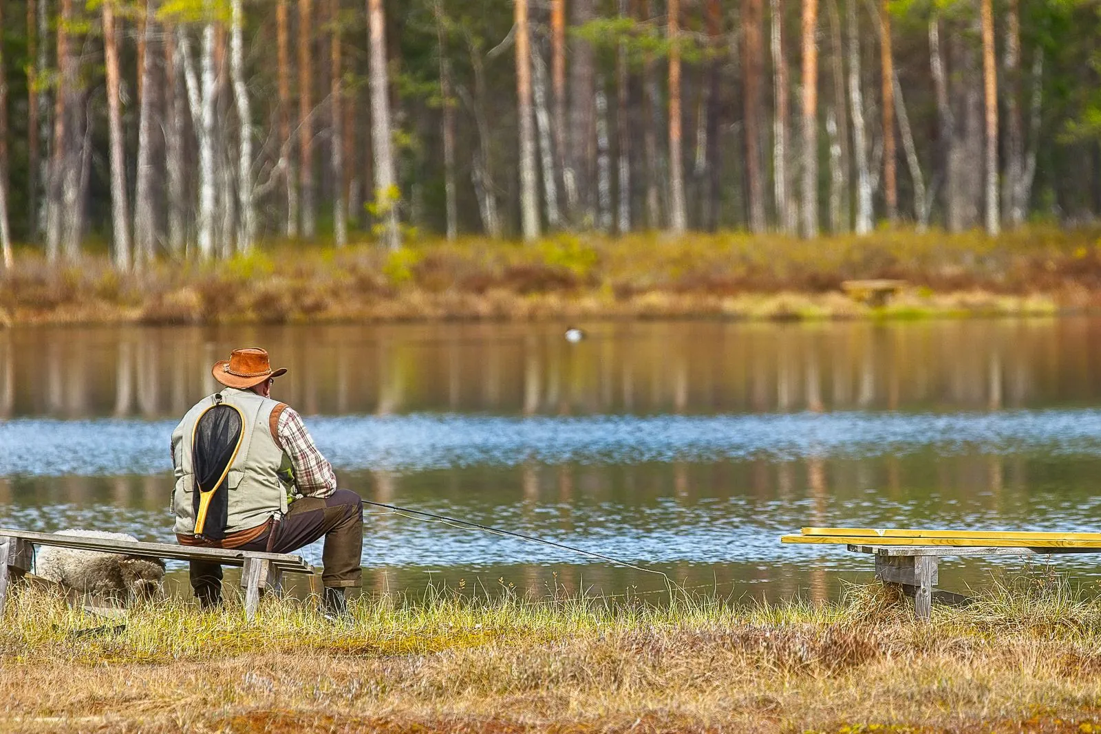 Zomerpret bij het Siljanmeer: zwemmen en vissen